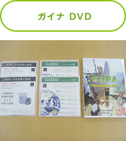 ガイナ DVD
